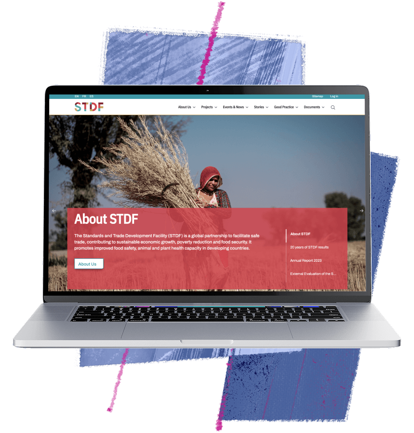 Multi-lingual portal for international organisations
